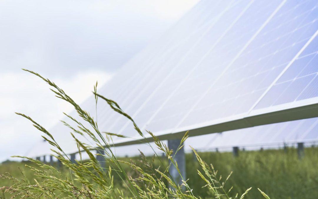 SOLAR FARM APPROVAL HERALDS HOME-GROWN ENERGY FOR UP TO 4,700 HOMES