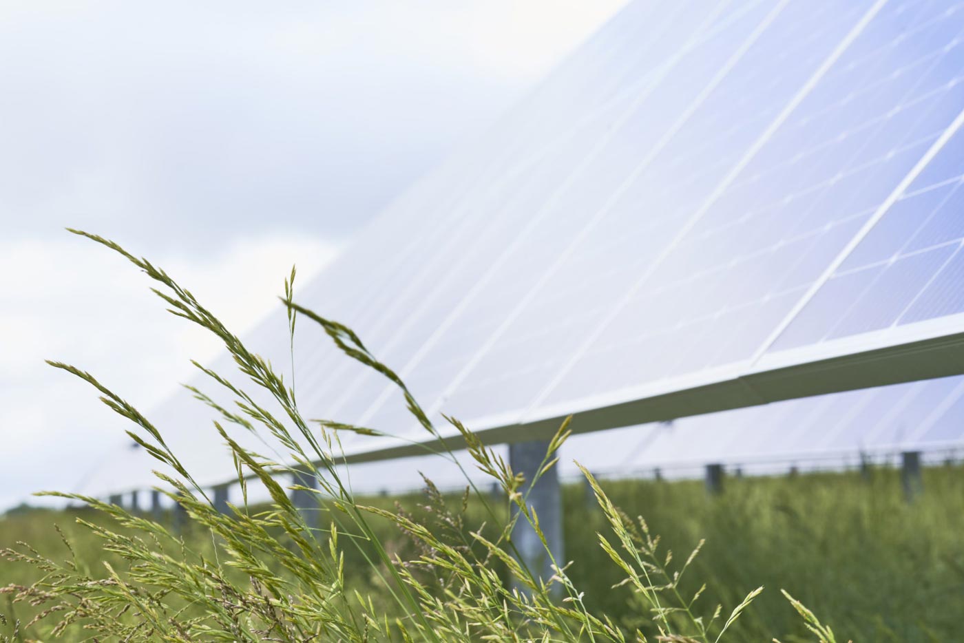 SOLAR FARM APPROVAL HERALDS HOME-GROWN ENERGY FOR UP TO 4,700 HOMES
