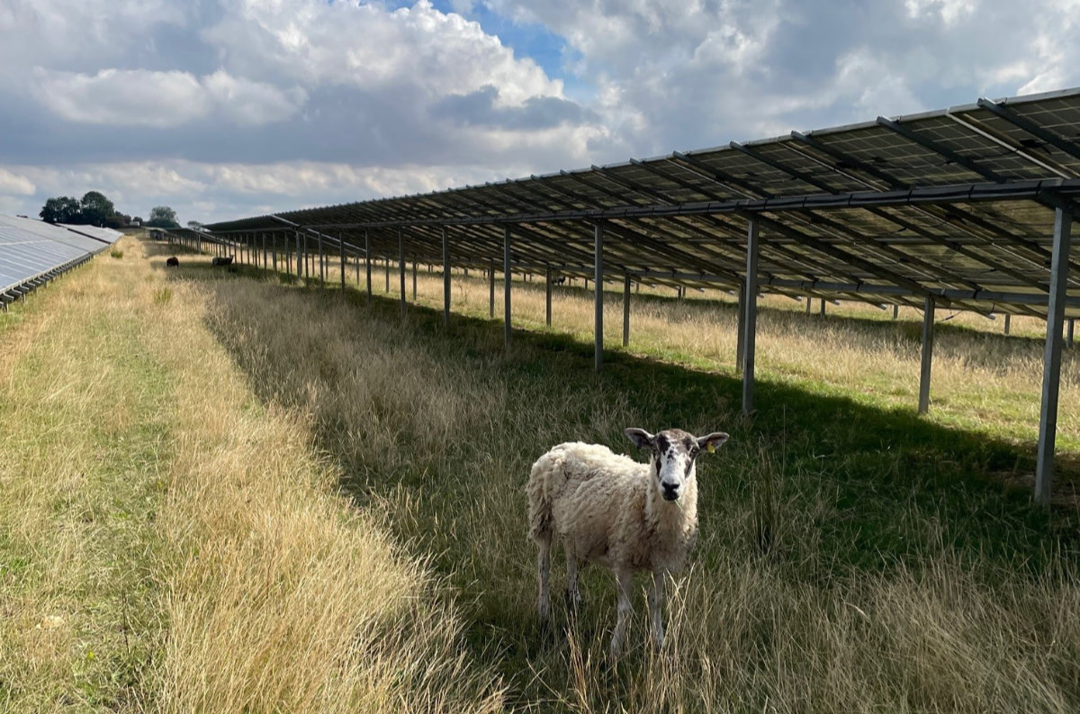 RENEWABLE CONNECTIONS WELCOMES THREE PROJECT CONSENTS IN ONE WEEK